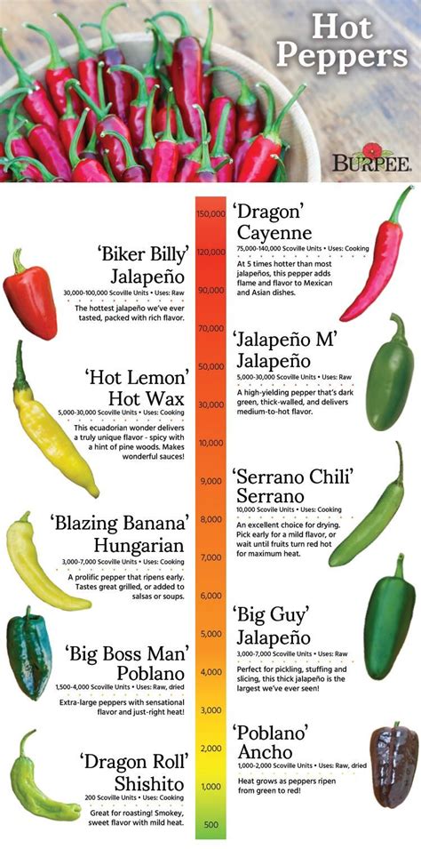 Tabasco Scoville Rating