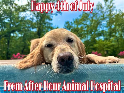 24 hour animal hospital near me 1