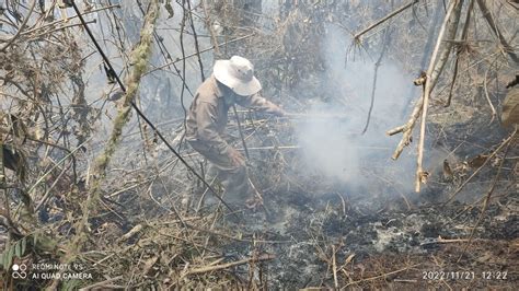 Gobierno Reporta 4073 Focos De Calor En Todo El País Santa Cruz