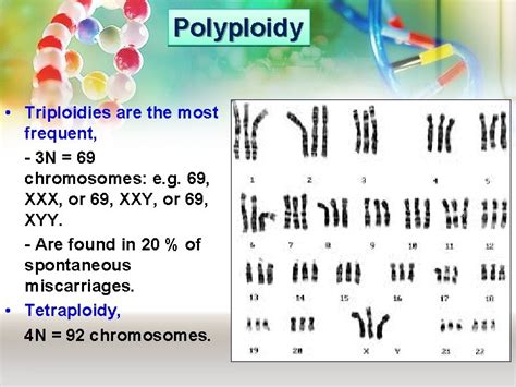 Medical Genetics Lecture 2 Chromosome Anomalies Muhammad Faiyazulhaque