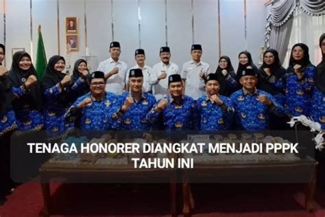 Akhirnya Tenaga Honorer Bisa Bernafas Lega Tahun Ini Bisa Diangkat