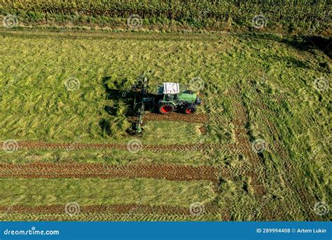 Harvesting And Drying Hay The Grass Tedder Turns Freshly Cut Grass