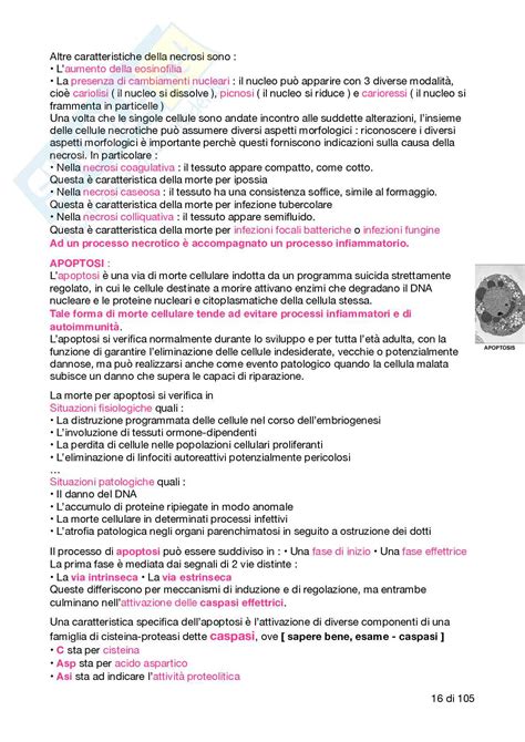 Riassunto Patologia Generale