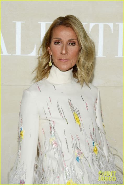 Photo Celine Dion Health Update 08 Photo 4868645 Just Jared