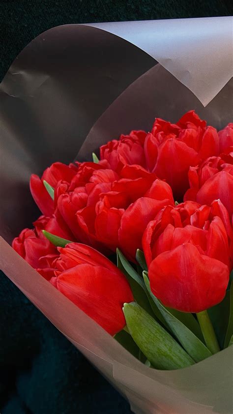 Red Roses in Bouquet · Free Stock Photo