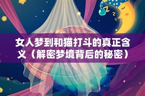 女人梦到和猫打斗的真正含义（解密背后的秘密） 命理解梦