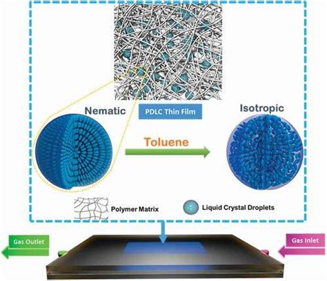 Polymer Dispersed Liquid Crystal Thin Films For Sensing Toluene Liquid