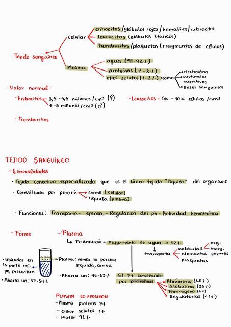 Tejido Sangu Neo Micaela Telchi Orce Udocz