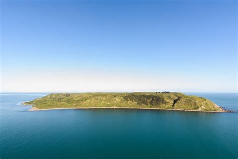 island midnight bird banding conservation blog