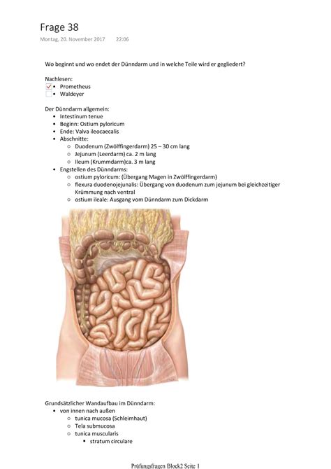 Anatomie Frage 38 Warning TT Undefined Function 32 Warning TT