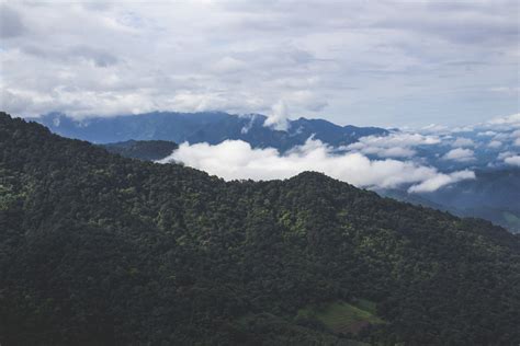 Banco de imagens fundo vista bonita céu azul Acalmando nuvem