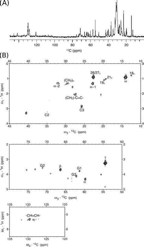 13 C Detected Nmr Spectra A One Dimensional 13 C Proton Decoupled Download Scientific Diagram