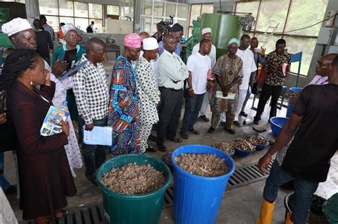 Nigerian Government Partners Taat On Hqcp For Livestock Feeds Taat Africa