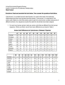 Living Environment Regents Evidence For Evolution Review Packet TPT