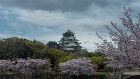 Wallpaper Landscape Nature Sky Trees Sakura Blossom Osaka Castle