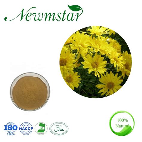 High Quality Supply Chrysanthemum Indicum Powder Wild Chrysanthemum