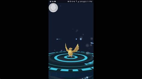 Pokemon Go How To Evolve A Pidgey Youtube