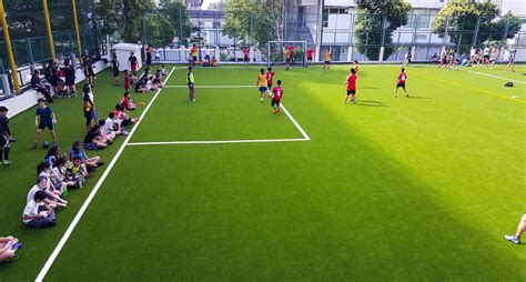 Artificial grass for school playing field | Royal Grass