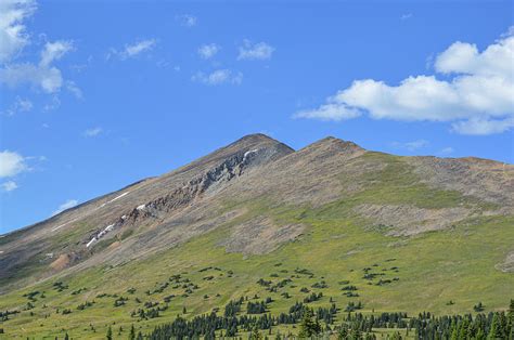 Above the Treeline Photograph by Bobbie Delaney - Fine Art America