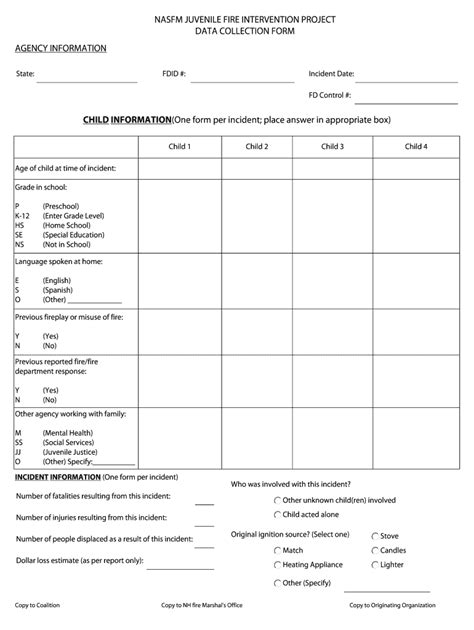 Fillable Online Nh Nasfm Juvenile Data Collection Bformb Nhgov Fax