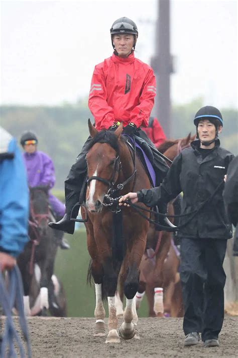 【天皇賞・春】（6）アスクビクターモア 田村師は満足の内枠「最高です」 スポニチ競馬web