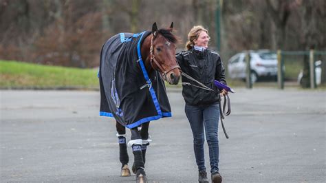 Idao De Tillard Enregistre Ses Premi Res Naissances Letrot