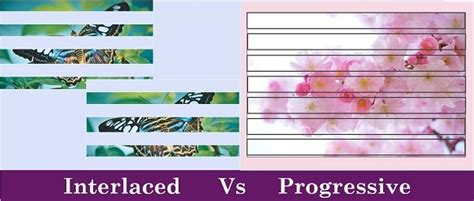 Difference Between Interlaced and Progressive Scan (with Comparison Chart) - Tech Differences