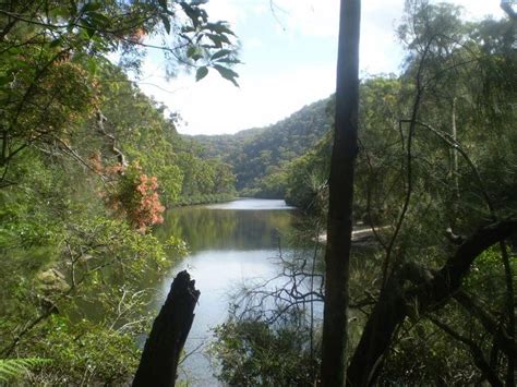 Sphinx Warrimoo Bobbin Head Tracks Hike 9 6km Ku Ring Gai Chase