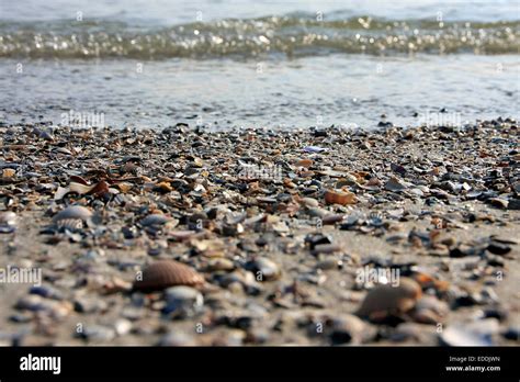 Beach At Goting On The Island Of Foehr The Schleswig Holstein Wadden