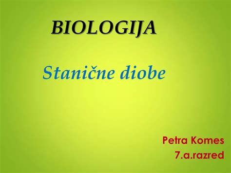 Ppt Biologija Stanične Diobe Powerpoint Presentation Free Download