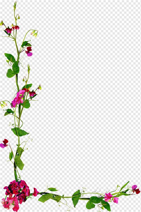 Design Floral Flor Planta Flores Cortadas Pedicelo Planta Herb Cea