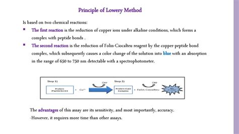 Quantitative Proteins Estimation By Lowry Method Ppt Download