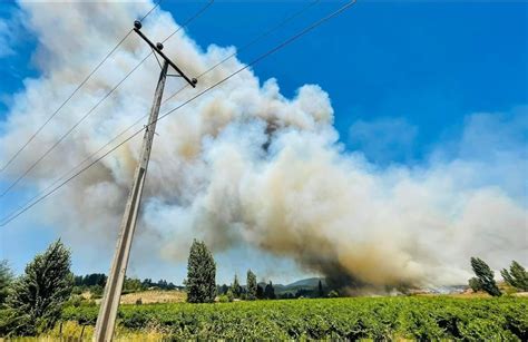 Incendio Forestal En Ñipas Motiva Alerta Roja Y Ordenan Evacuación De