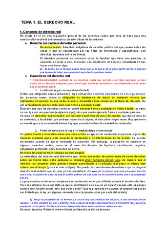 Derechos Reales Pdf