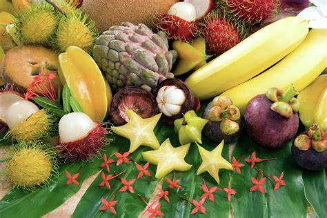 tropical fruit  science photo library