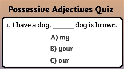 Possessive Adjectives Quiz My His Her Its Your Our Their Quiz Ladla Education Youtube