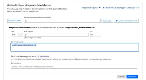 Configurer Un Enregistrement Spf Pour Marketing Par E Mail Siteground