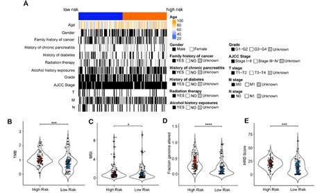 Association Of The 14 Lncrnas Prognostic Model And Clinicopathological