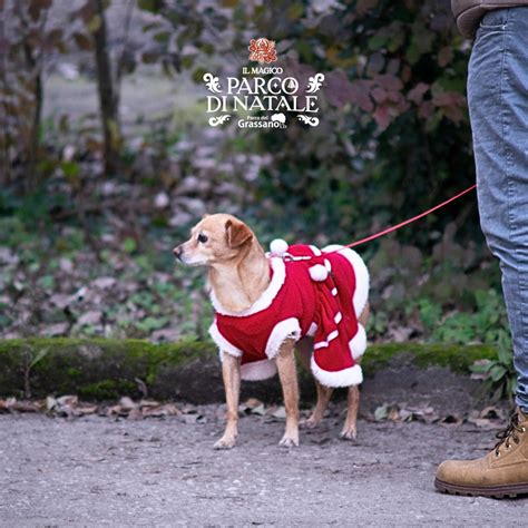 Il Magico Parco Di Natale Nel Parco Del Grassano Con Mercatini