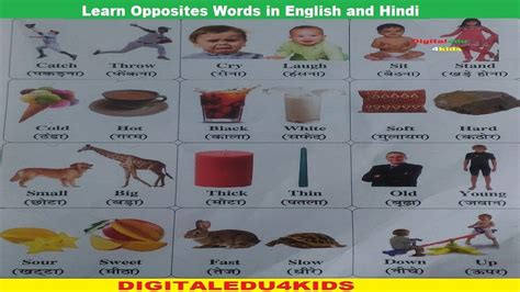 100 Opposite Words List In Hindi Printable Templates Free