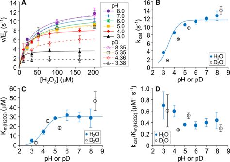 On The Ph Dependency Of The Catalysis By A Lytic Polysaccharide