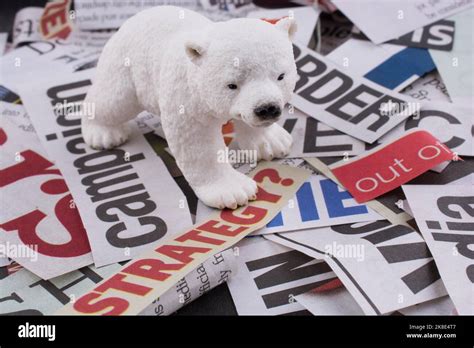 Polar bear on cut newspaper titles Stock Photo - Alamy