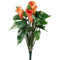 Floristik De Calla Lilie Apricot Kalla Kunstblumen Orange Exoten Cm