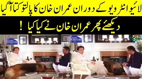 Imran Khans Dog Enters During His Live Interview See Imran Khans