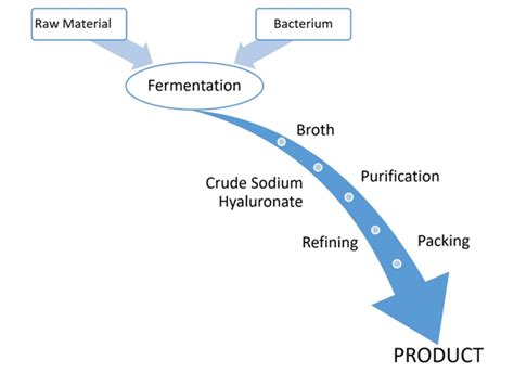 Hyaluronic Acid Production Flow Chart - Freshine Chem