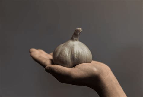 Pourquoi Mettre Une Gousse Dail Dans Les Toilettes De La Maison Avant