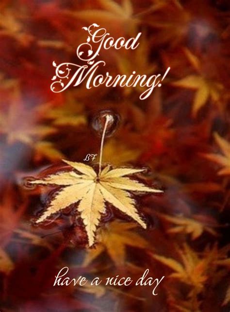 An Autumn Leaf With The Words Good Morning Have A Nice Day