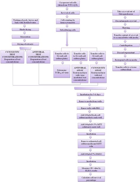 Table 1 From Assessment Of The Cytotoxic And Anti Viral Potential Of Aqueous Extracts From