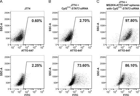 Flow Cytometry Analysis Of The Cellular Binding Of Spheres Loaded With