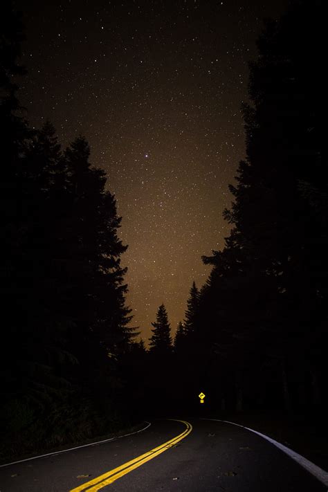 Night Forest Highways